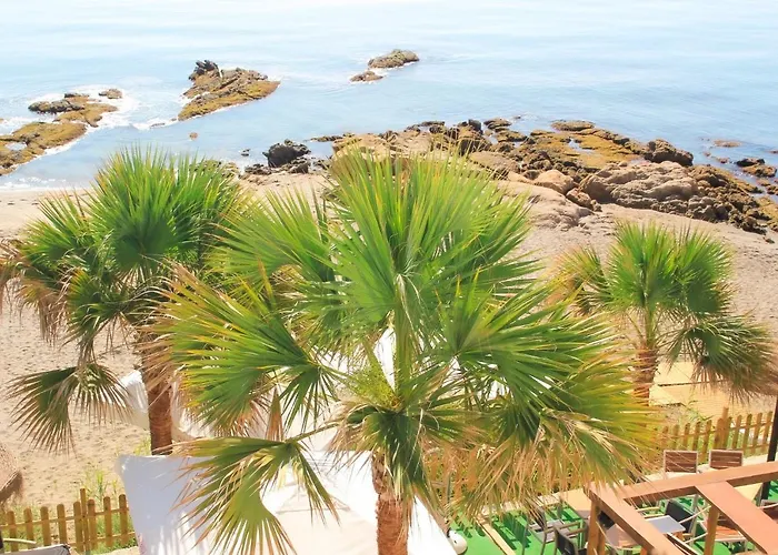 Patricia Torreguadiaro