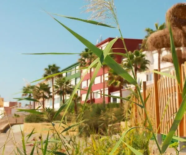 Patricia Torreguadiaro