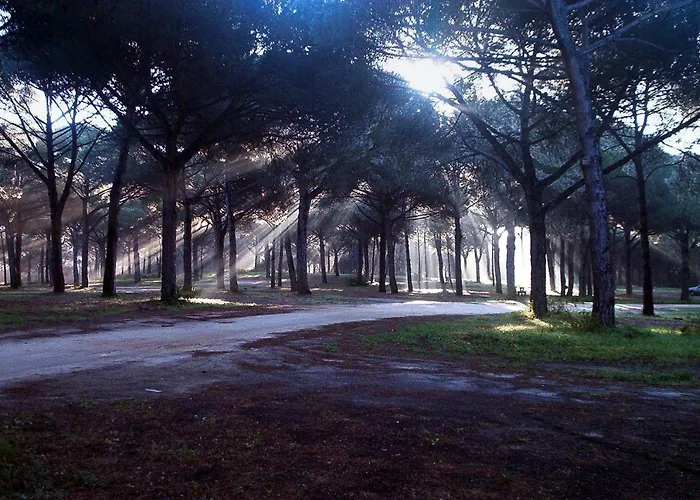 Patricia Torreguadiaro