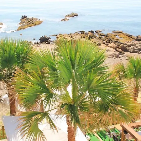 Patricia 토레과디아로